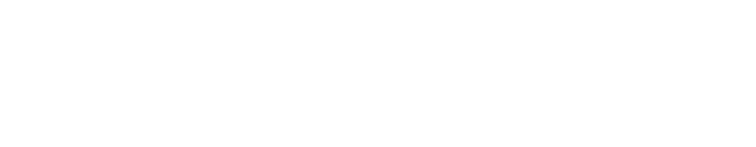 Holistic Care Partners