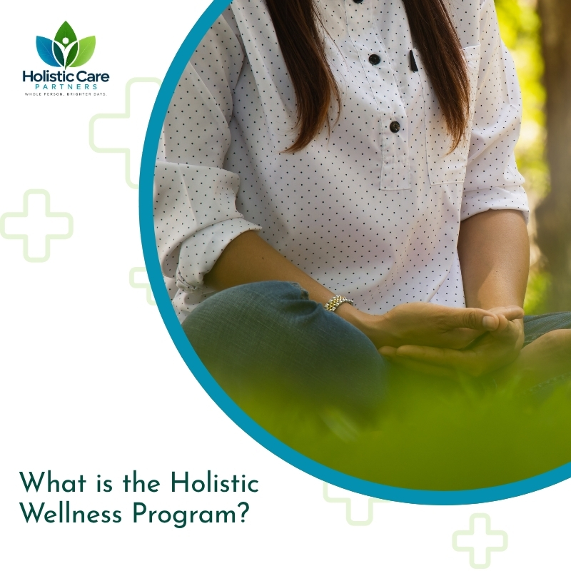 What is the Holistic Wellness Program?