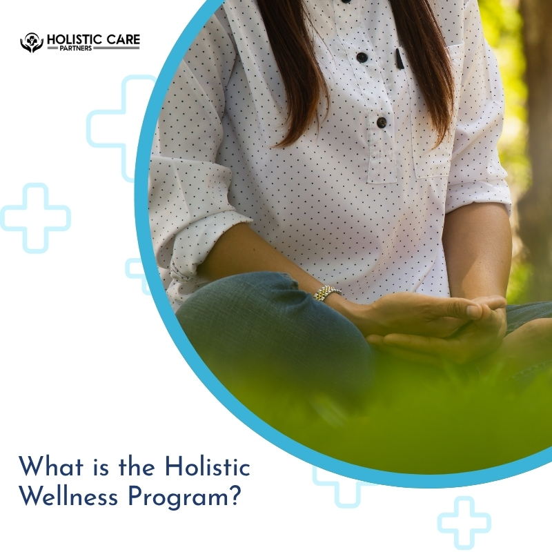 What is the Holistic Wellness Program?